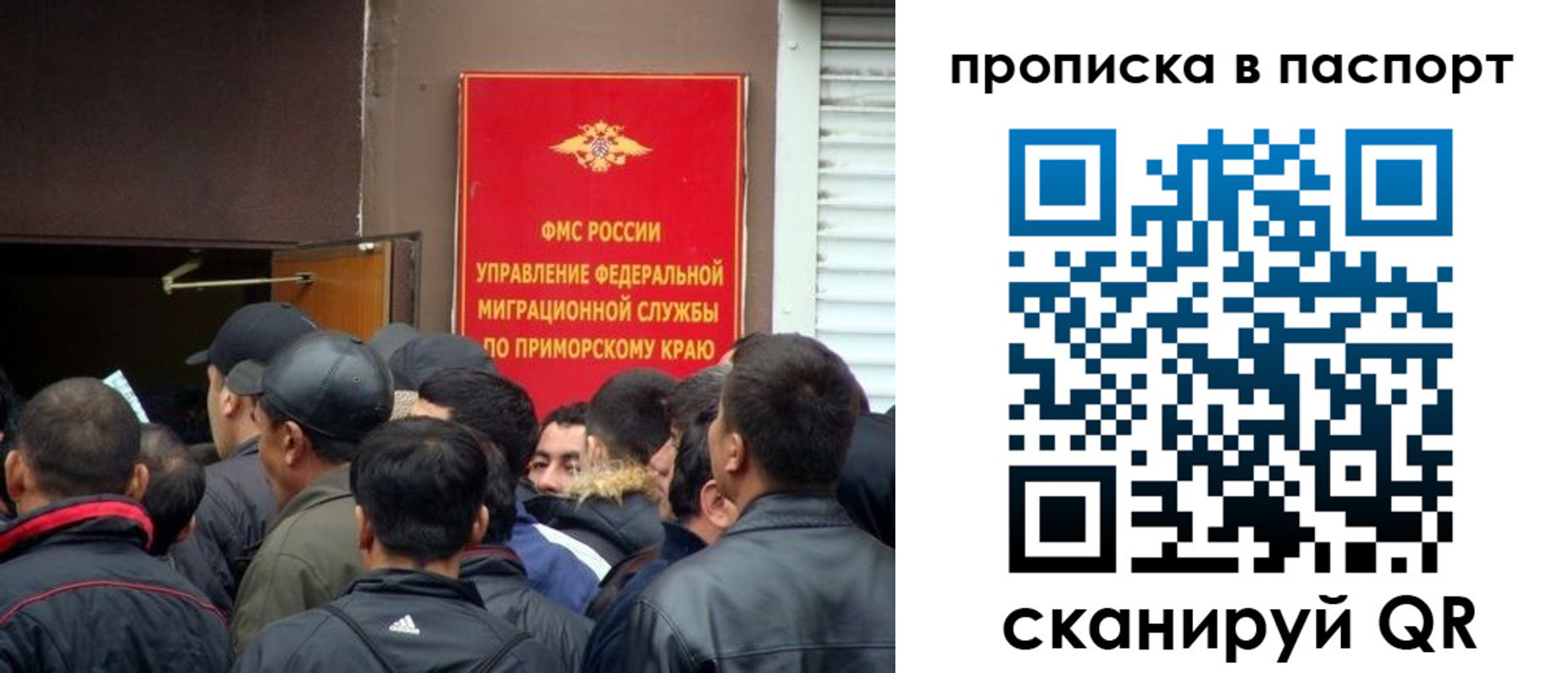 прописка поиск в Сухиничи